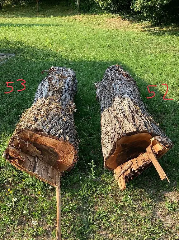 Nussbaum Klotzbretter Holzbretter