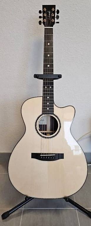 Gitarre Lakewood M32 CP