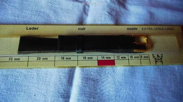 neues Uhrenband aus Leder B Post gratis