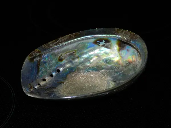 Abalone Muschel, ca. 14 x 10 cm