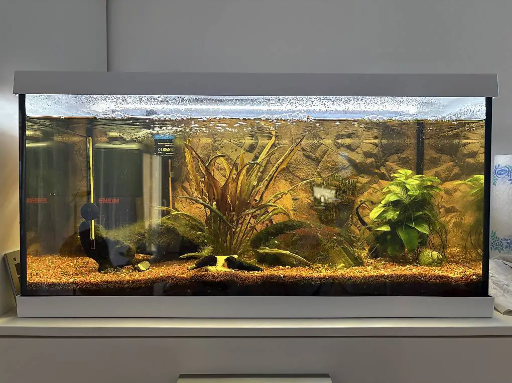 Aquarium Komplettset