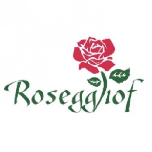 Reitschule Gutsbetrieb Rosegg