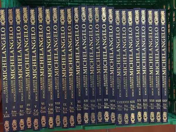 Enciclopedia Michelangelo: 24 volumi