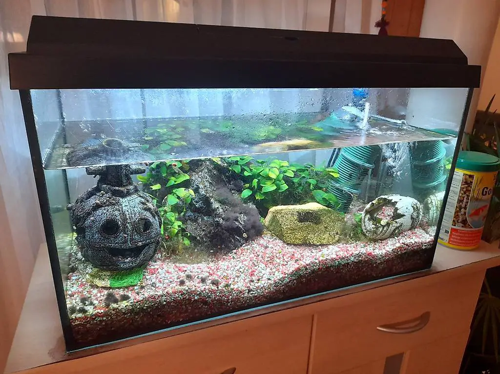 Aquarium Juwel