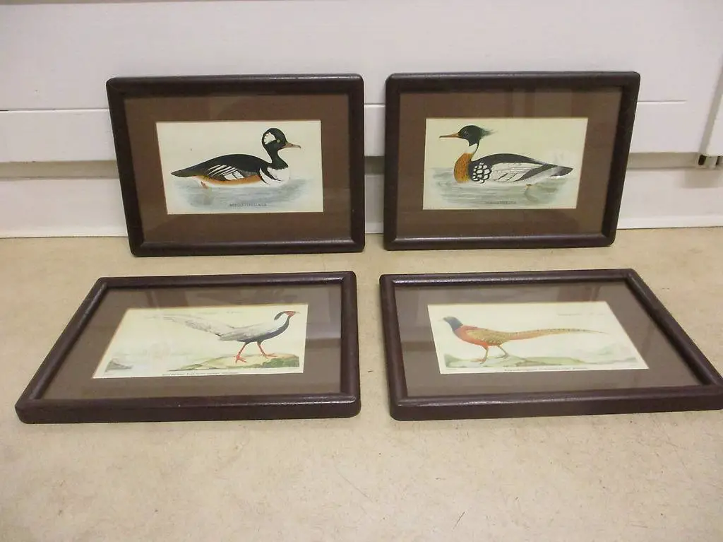 4x Bild mit Ente / Fasan Jäger-Stübli Chalet Chic