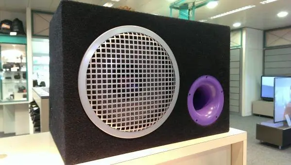 Bass BOX SONY Sony SXS-250X Demomodel Austellungs Modell