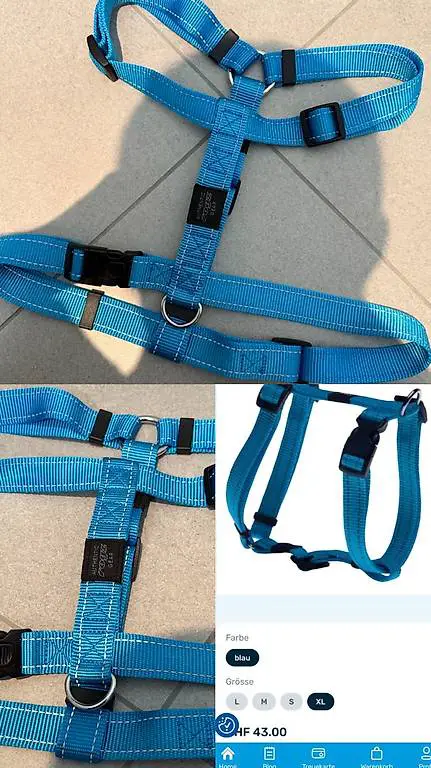 Hundezubehör, Kaufe 1 bekomme 1 Artikel Gratis