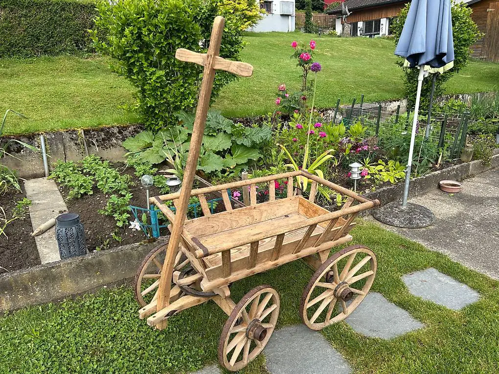 Leiterwagen Leitwägeli