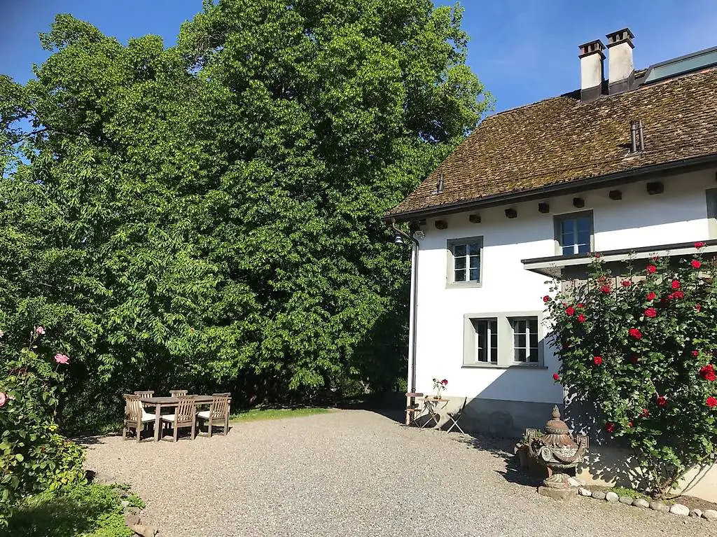 Wohnen wie im Baumhaus in Horgen