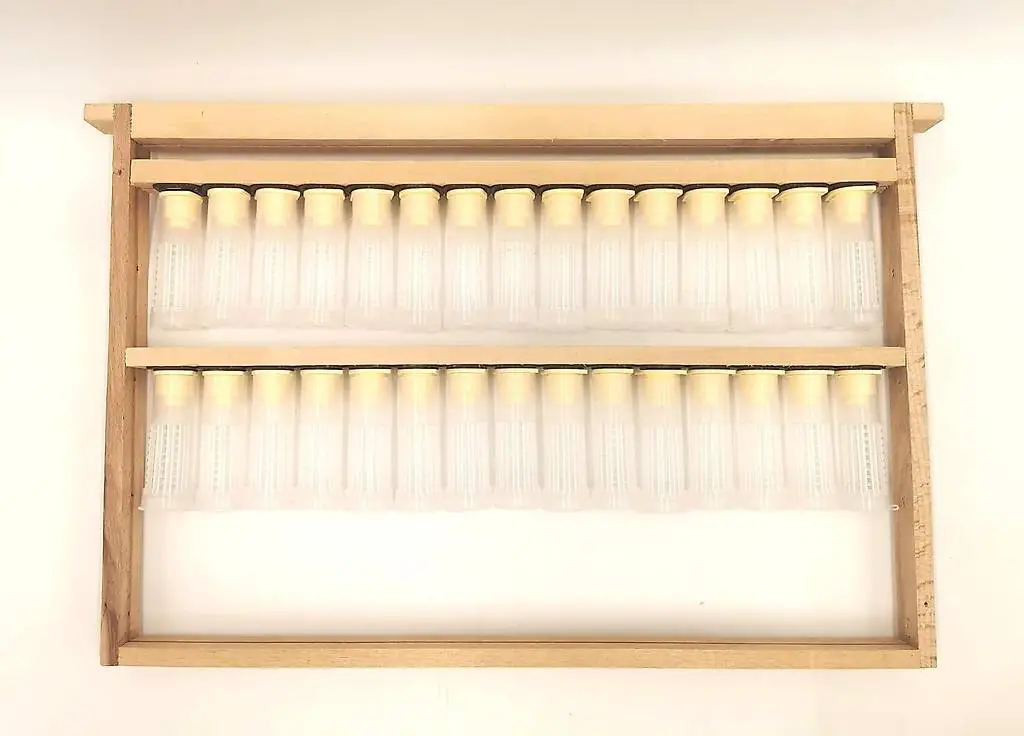 Dadant Blatt Zuchtrahmen Set, 30 Einheiten, 470x300mm