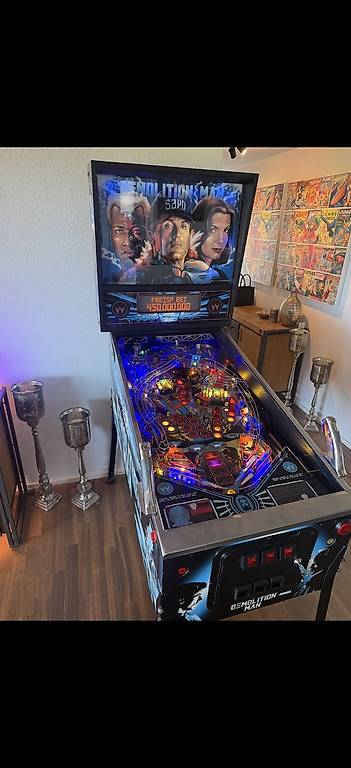 Flipper Demolition Man