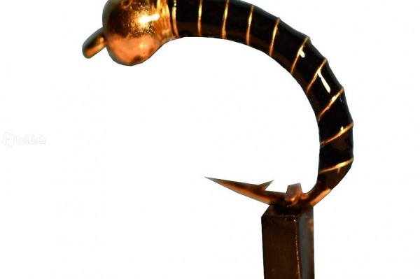  GK15 Egli und Felchen Hegenen, Gamben, Nymphen by ramsey