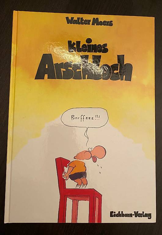 Comic Buch Das kleine Arschloch von Walter Moers