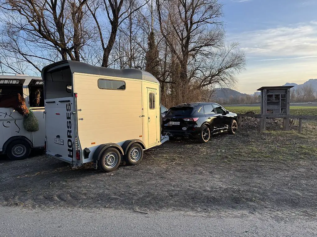 Pferdeanhänger zu verkaufen