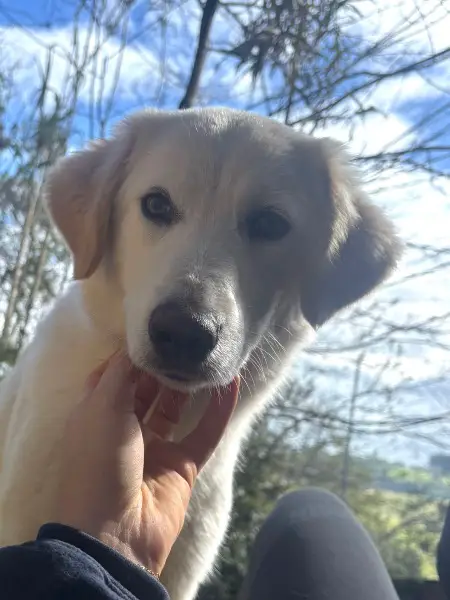 Uriak sucht seine Familie