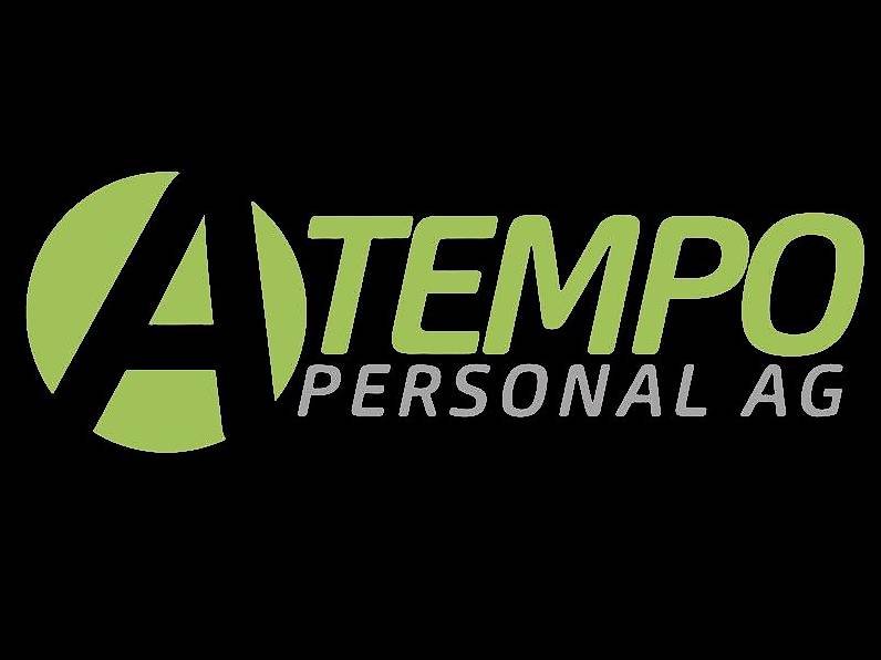 Bauspengler in Reiden