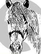 Kleinpferd/Pony ans Futter gesucht