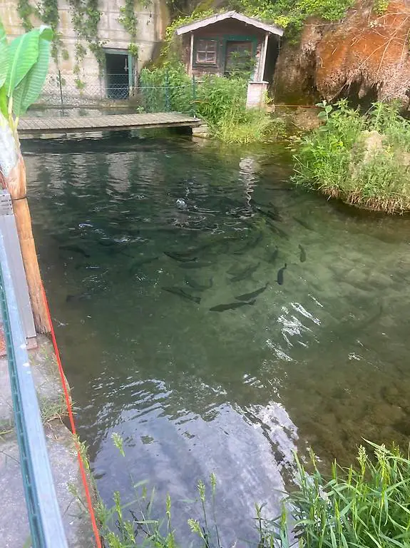 Fischzucht zu vermieten