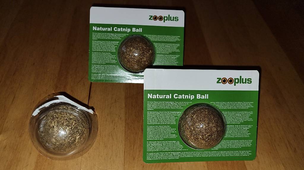 Katzen Spielzeug / Zubehör