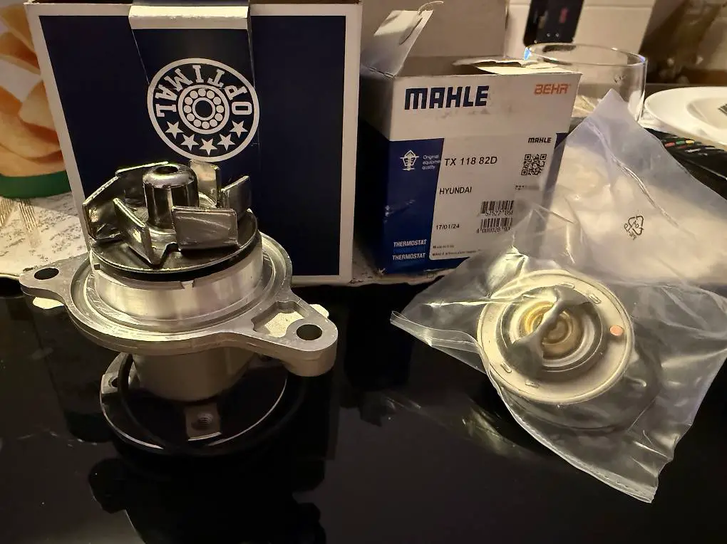 Wasserpumpe und termostat auris