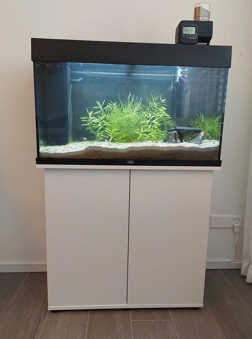 JUWEL Aquarium Rio 125 mit Untermöbel, Zubehör & Fische