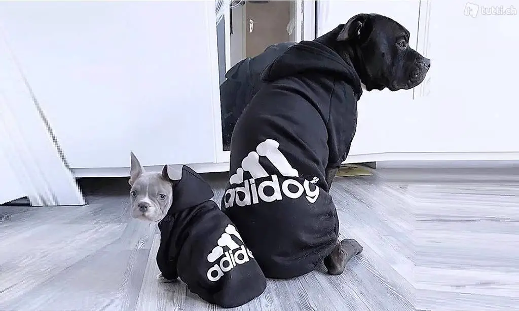  Pullover für Hunde (ADIDOG)