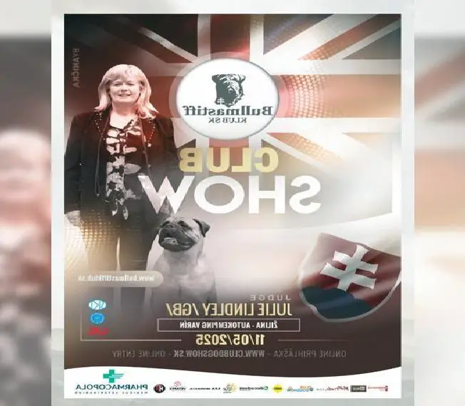 Bullmastiff Club Show - Molosser Club Show - FCI Standard