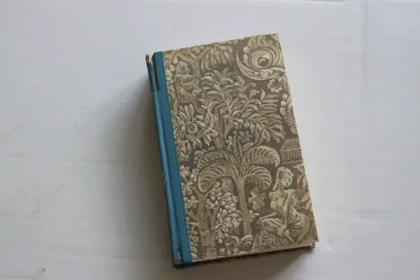 Strafende Sonne - lockender Mond von Alice Ekert Rotholz