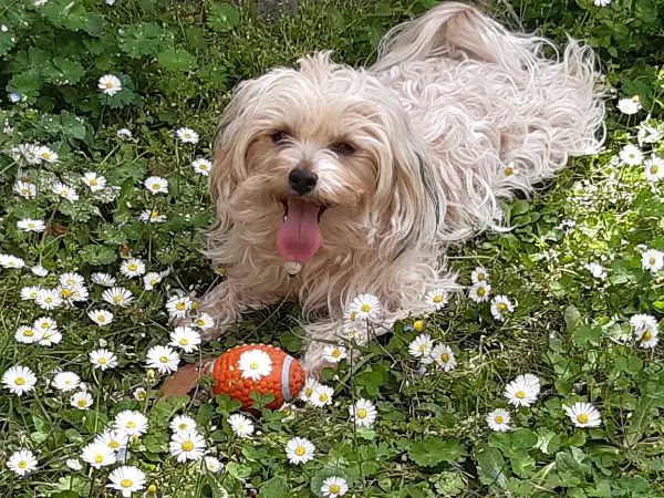 Kissy sucht ihren Traumprinzen. Sie steht nicht zum Verkauf