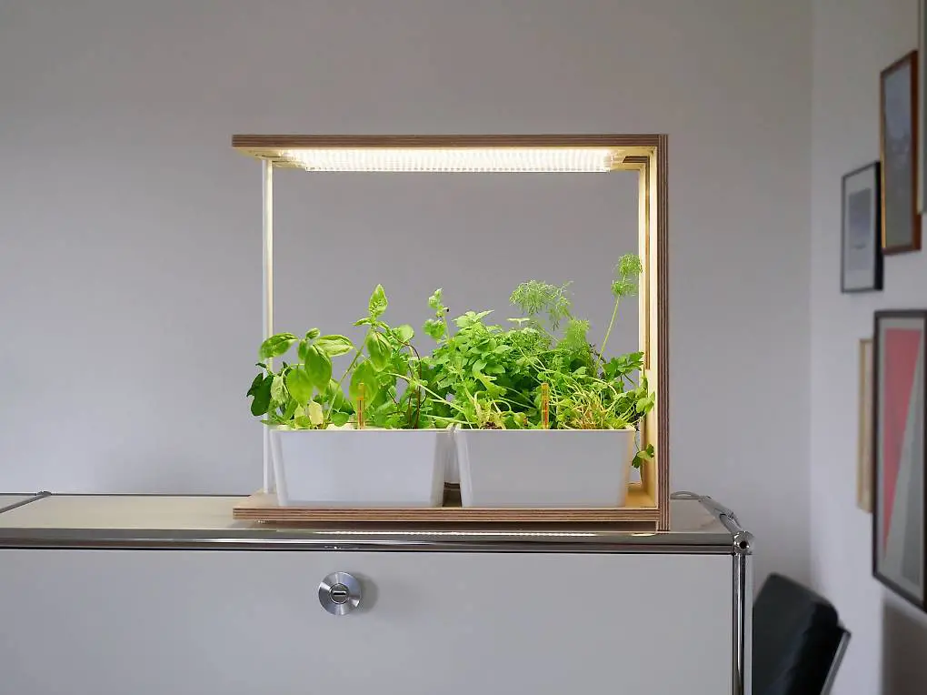 Indoor Kräutergarten Yuppiegarden.