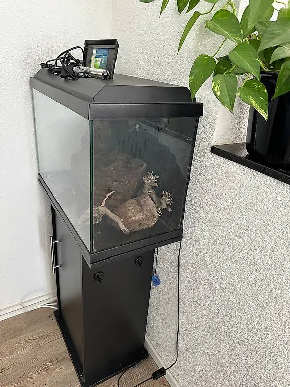 Aquarium mit untermöbel, deko und aussenpumpe