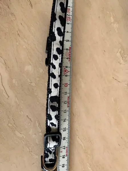 HUNDE LEINE & HALSBAND