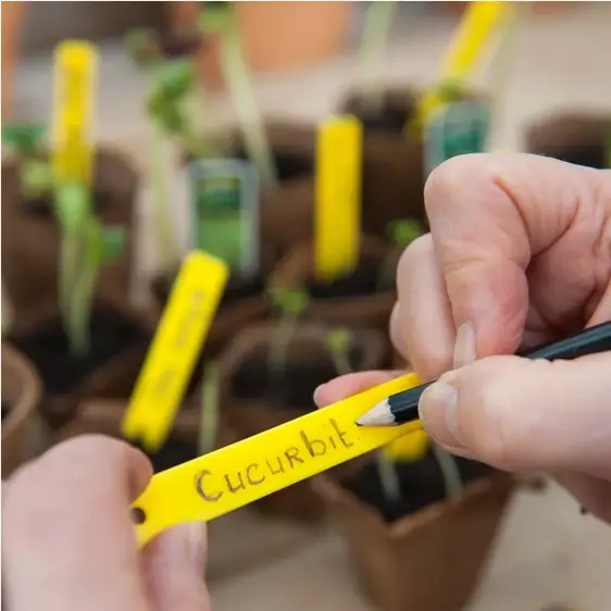 Nature 200-tlg. Zimmergewächshaus Starter-Set