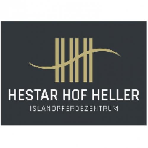 Reitschule Hestar-Hof Islandpferdebetrieb