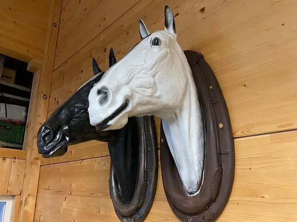 Pferde Köpfe aus Pvc .