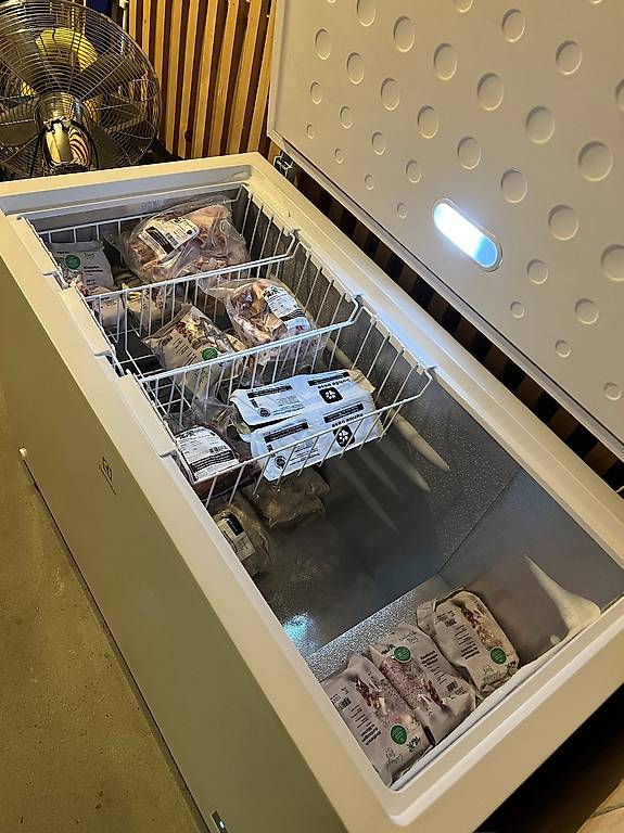 Tiefkühltruhe Electrolux GT380 (371L)