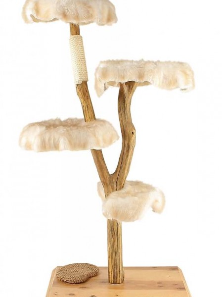  Naturkratzbäume Swisspet Living