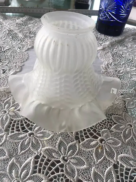 6 Glaslampenschirme