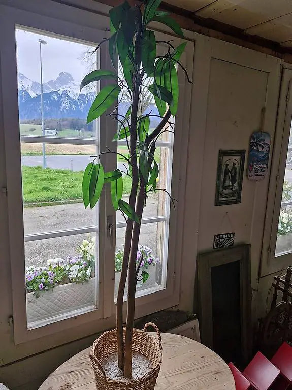 Kunstpflanze Baum Pfanze Ficus im Korb Deko SF