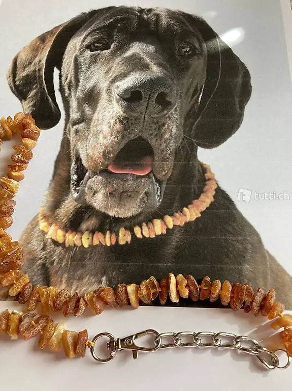  Amarino präsentiert eine Bernsteinkette/Amber/Ambre echt roh