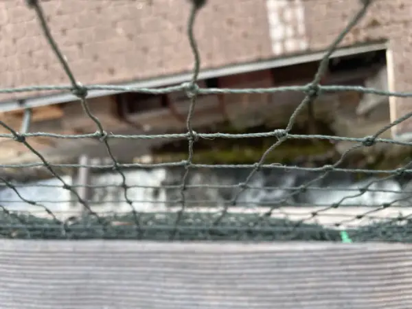 Grosses Katzennetz zu verkaufen