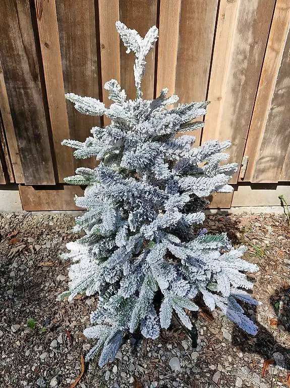 Tannenbaum mit Schnee NF