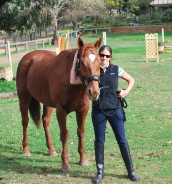 Suche ein Pferd fuer eine Reitbeteiligung - 1 x Woche