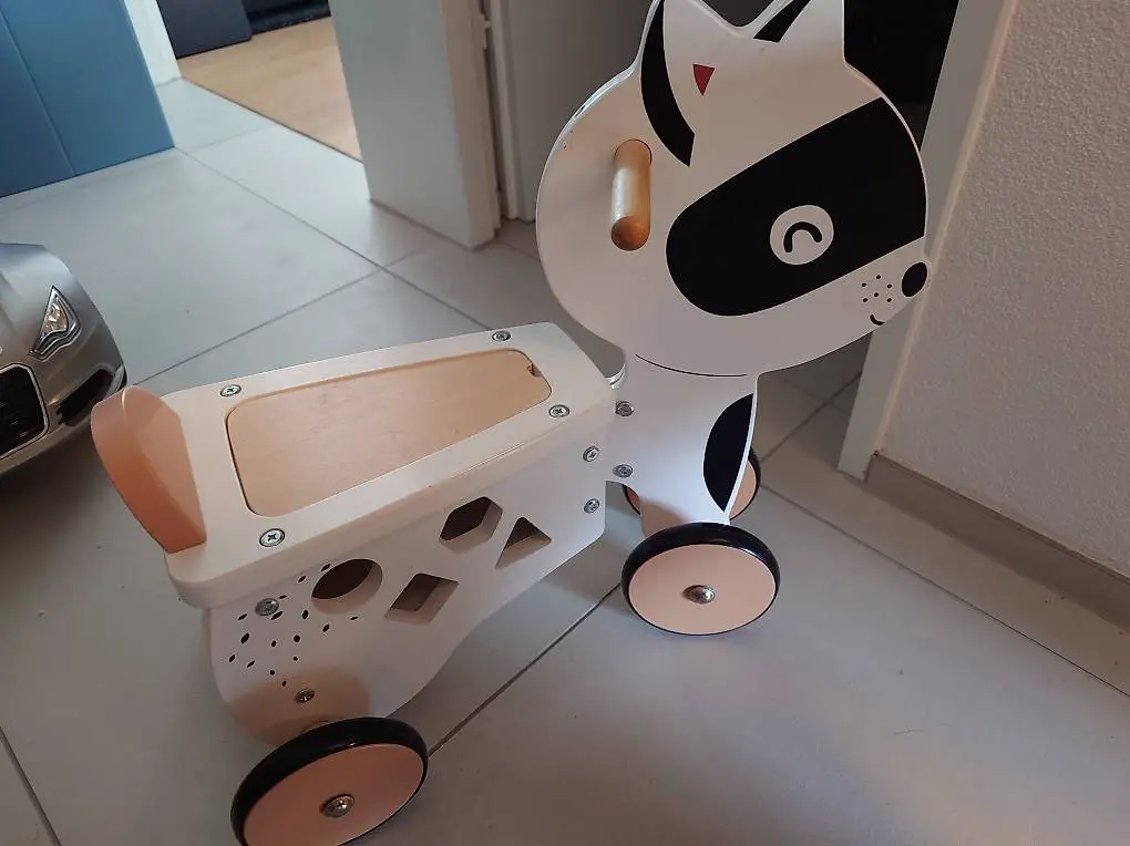 Waschbär Rutschauto