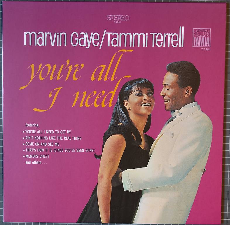 lp marvin gaye / tammi terrell you"re all i need