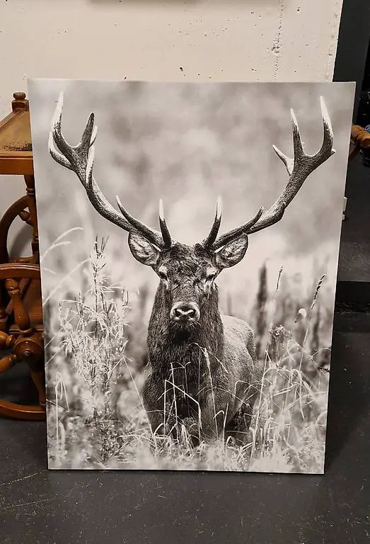 Hirsch-Leinwandbild