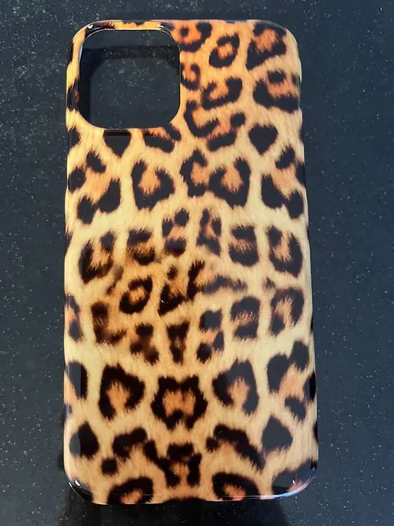 Handyhülle iPhone 12 Pro