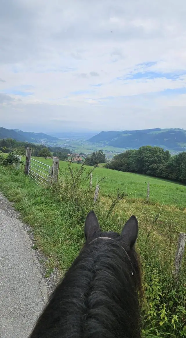 Selbstversorger Offenstall gesucht, Region Bern-Thun