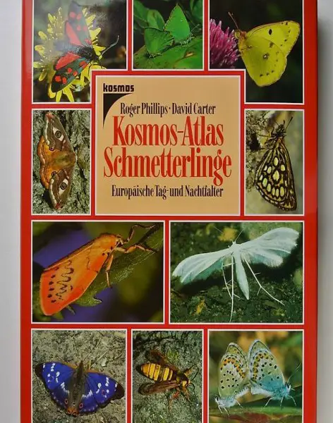 Phillips, Roger. D. Carter. Der Kosmos-Atlas Schmetterlinge.