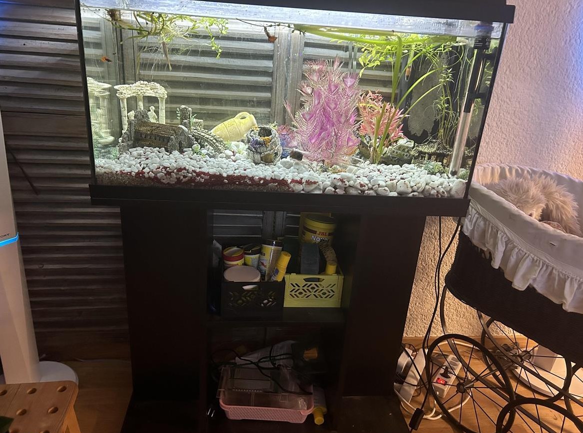 Aquarium mit Untermöbel zu verkaufen